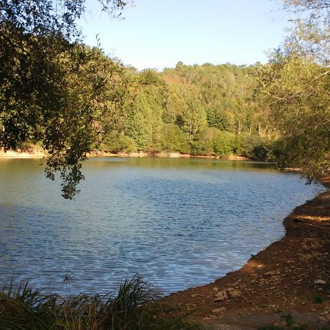 Camping La Bastide - Camping Dordogne - Image N°5