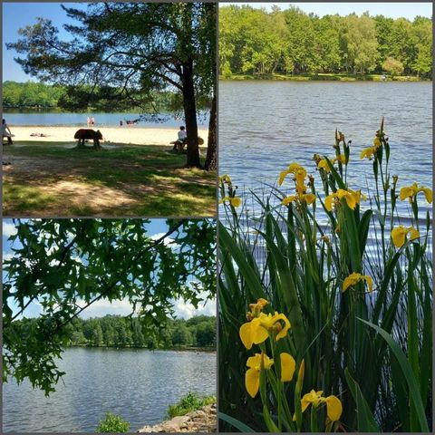 Camping la Ripole - Camping Dordogne - Image N°6