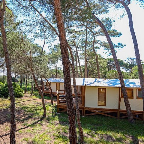 Camping La Tamarissière - Camping Hérault - Image N°5