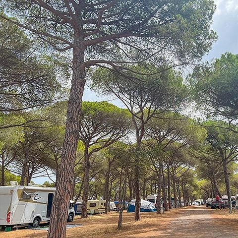 Camping La Tamarissière - Camping Hérault - Image N°6