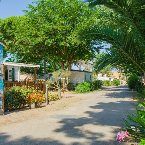 Camping les Jardins d'Agathe ****  Camping les Jardins d'Agathe ****  - Camping Hérault - Image N°2