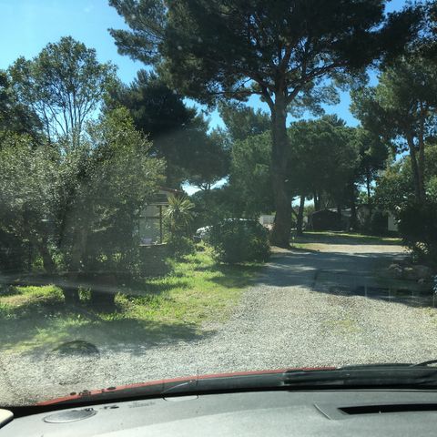 Camping 123 Sud Vacances - Camping Hérault - Image N°5