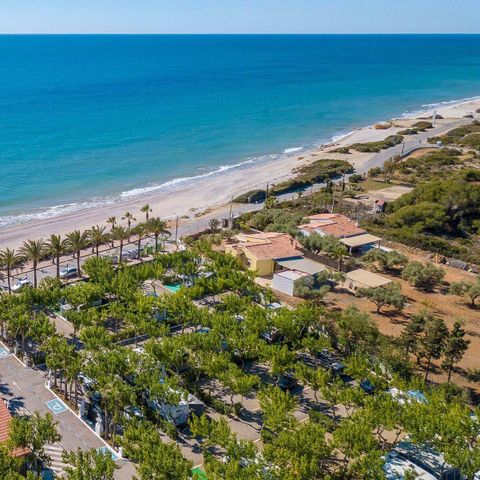 Camping Playa Tropicana - Camping Castellón - Image N°2