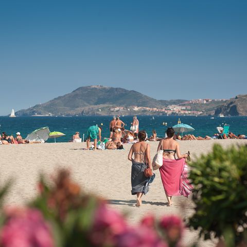 Camping la Plage Argelès - Camping Pyrénées-Orientales - Image N°6