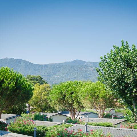 Camping la Plage Argelès - Camping Pyrénées-Orientales - Image N°4