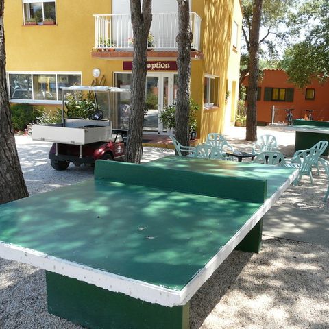 Camping Domaine des Mimosas - Camping Pyrénées-Orientales - Image N°4