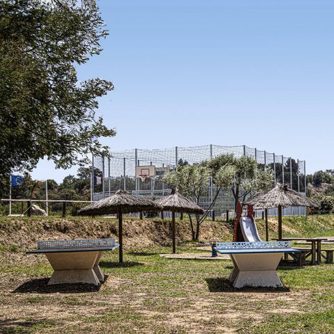 Camping La Coste Rouge - Camping Pyrénées-Orientales - Image N°6