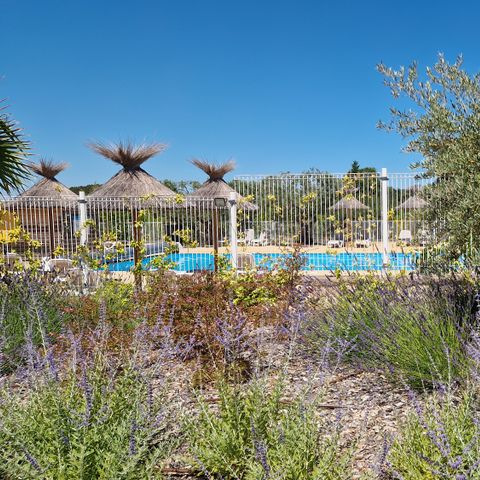 Camping l'Emeraude du Verdon - Camping Var - Image N°2
