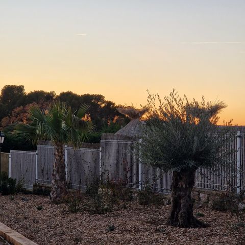 Camping maeva Escapades l'Emeraude du Verdon - Camping Var - Image N°3