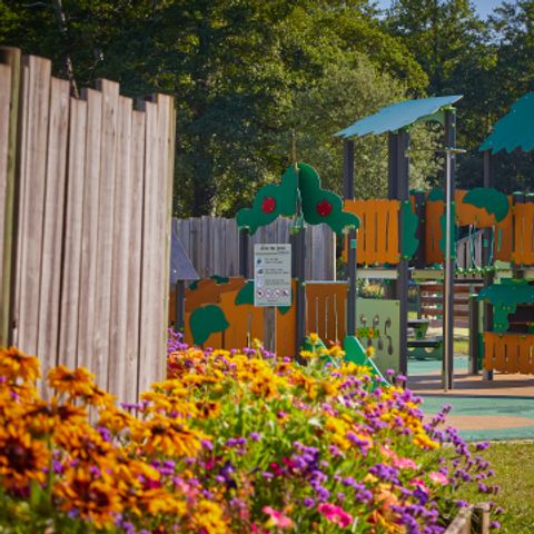 Camping Azu'Rivage Camping Azu'Rivage - Camping Landes - Image N°6