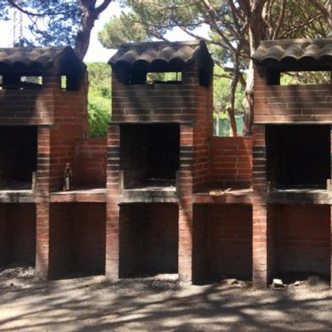 Camping 3 Estrellas - Camping Castellón - Image N°3