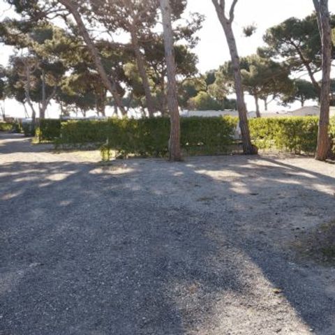 Camping 3 Estrellas - Camping Castellón - Image N°2