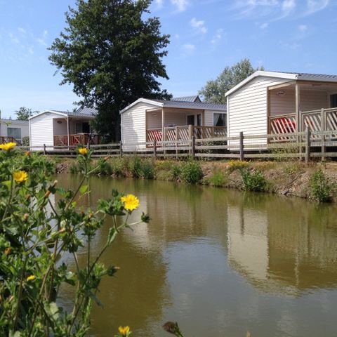 Camping La Gerfleur  - Camping Manche - Image N°5