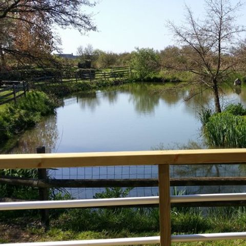 Camping La Gerfleur  - Camping Manche - Image N°6