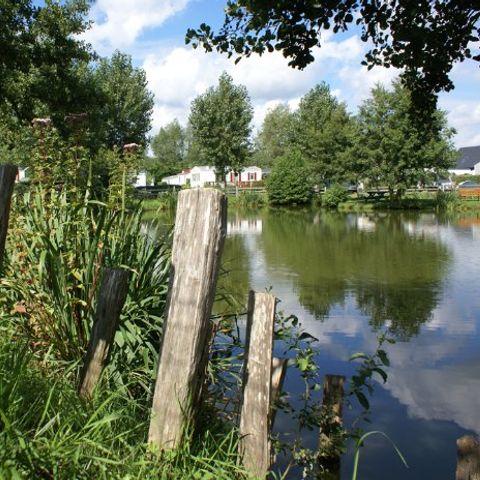 Camping La Gerfleur  - Camping Manche - Image N°4