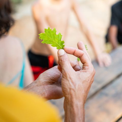 Ushuaia Villages Domaine de la Colombière - Camping Dordogne - Image N°5