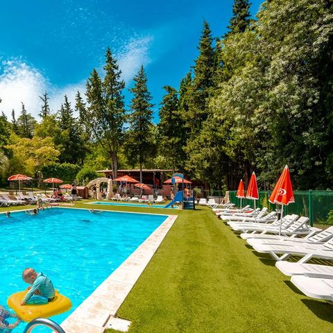 Flower Camping Les Tomasses - Camping Var - Image N°2