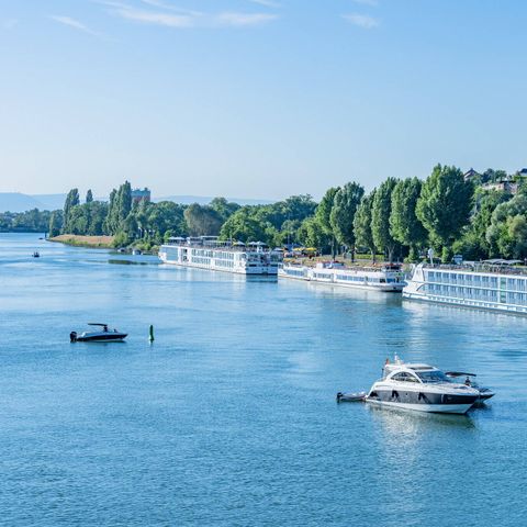 Camping L'Île du Rhin Camping L'Île du Rhin - Camping Haut-Rhin - Image N°3
