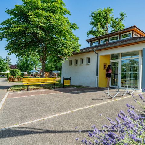 Camping L'Île du Rhin Camping L'Île du Rhin - Camping Haut-Rhin - Image N°5