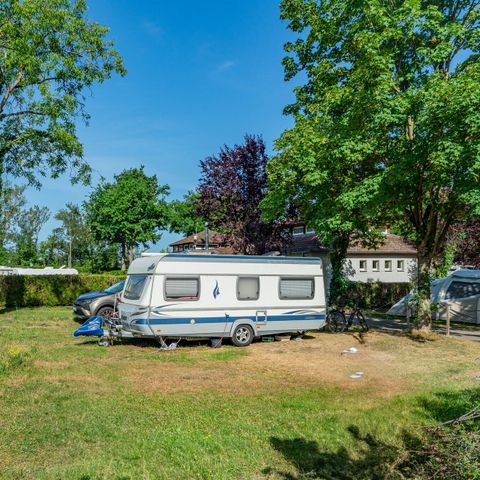 Camping L'Île du Rhin Camping L'Île du Rhin - Camping Haut-Rhin - Image N°4