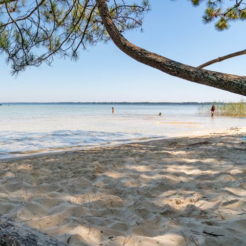 Slow Village Biscarrosse Lac  - Camping Landes - Image N°4