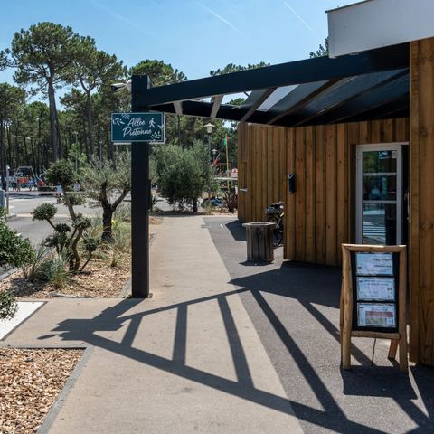 Camping Club Plage Sud - MS Vacances - Camping Landes - Image N°4