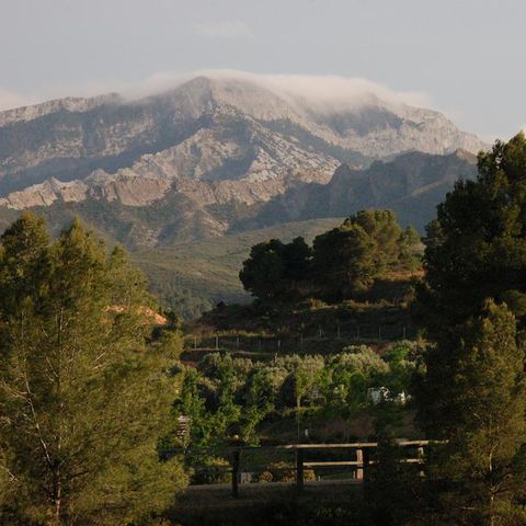 Camping Terra Alta Camping Terra Alta - Camping Tarragone - Image N°4