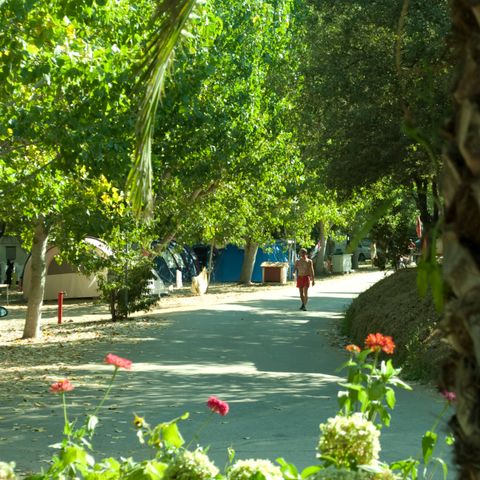 Camping La Liscia  - Camping Corse du Sud - Image N°4