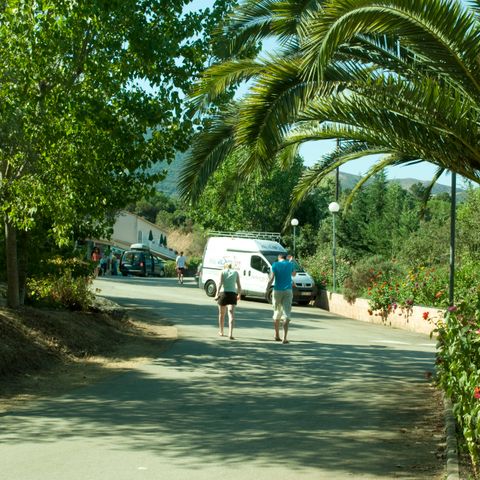 Camping La Liscia  - Camping Corse du Sud - Image N°6