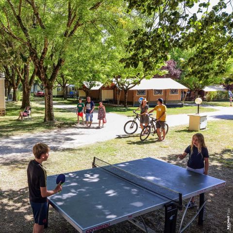 Flower Camping Le Soleil des Bastides - Camping Tarn - Image N°4