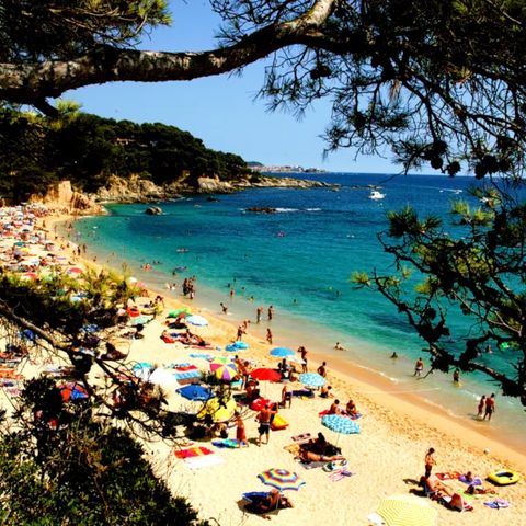 Camping International de Calonge Camping International de Calonge - Camping Gérone - Image N°2