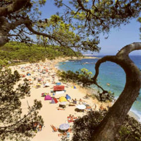 Camping International de Calonge Camping International de Calonge - Camping Gérone - Image N°3
