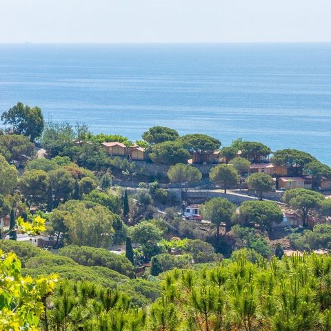 Camping Roca Grossa Camping Roca Grossa - Camping Barcelone - Image N°3