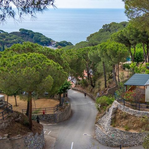 Camping Roca Grossa Camping Roca Grossa - Camping Barcelone - Image N°6