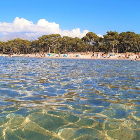 Camping Dolce Vita Camping Dolce Vita - Camping Corse du Nord - Image N°6