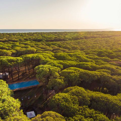Gitavillage Le Marze Gitavillage Le Marze - Camping Grosseto - Image N°3