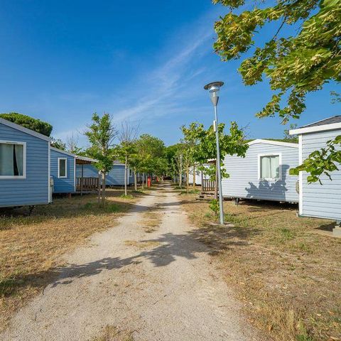 Camping Pineta sul Mare Camping Pineta sul Mare - Camping Forlì-Cesena - Image N°5