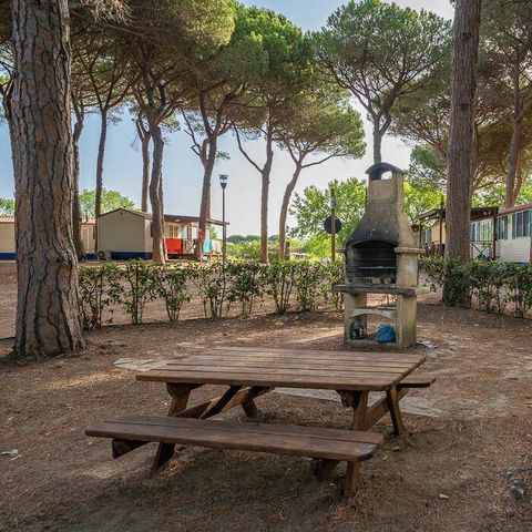 Camping Pineta sul Mare Camping Pineta sul Mare - Camping Forlì-Cesena - Image N°4