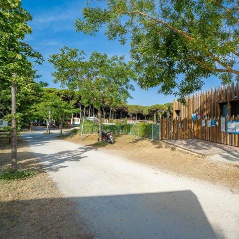 Camping Pineta sul Mare Camping Pineta sul Mare - Camping Forlì-Cesena - Image N°3