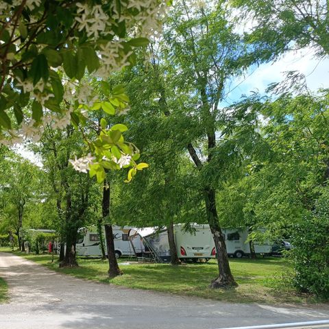 Camping La Digue - Camping Ardèche - Image N°4
