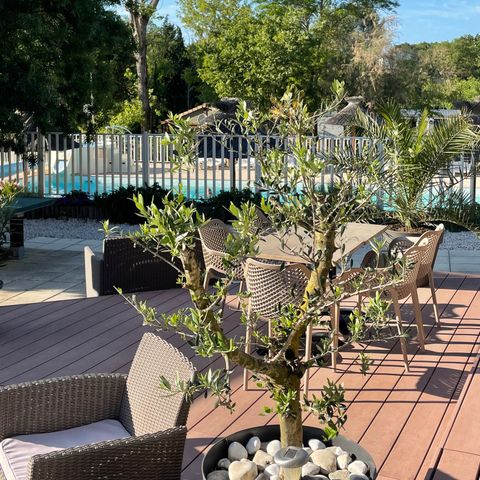 Camping Le Mas de Reilhe - Camping Gard - Image N°6