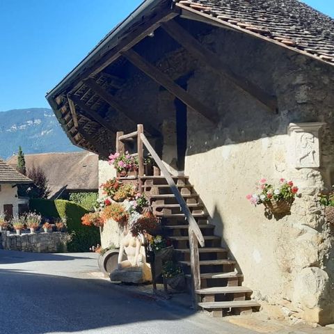 Camping Le Colombier - Camping Ain - Image N°6