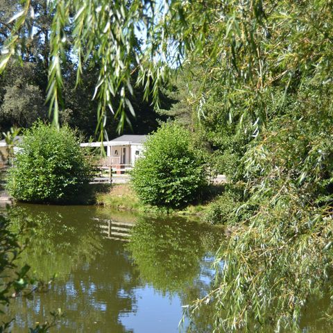 Camping Au Bois de Calais Camping Au Bois de Calais - Camping Corrèze - Image N°6