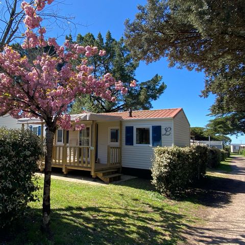 Camping Ostrea - Camping Charente-Maritime - Image N°5