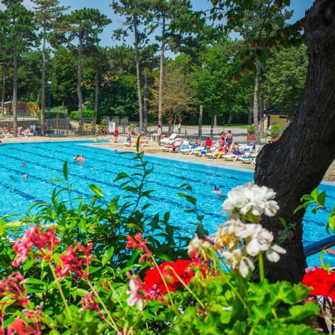 Camping Mare Pineta Camping Mare Pineta - Camping Trieste - Image N°5