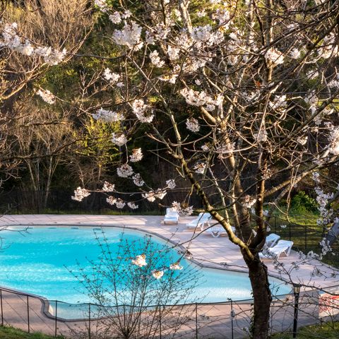 Camping Des Randonneurs - Camping Pyrénées-Orientales - Image N°5