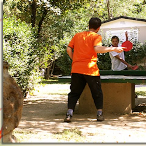 Camping L'Enclave - Camping Pyrénées-Orientales - Image N°5