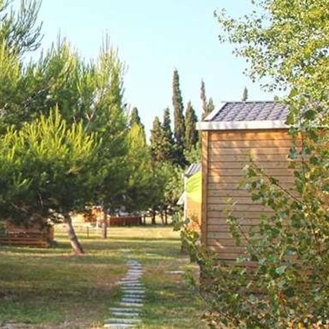 Domaine de la Palme Domaine de la Palme - Camping Aude - Image N°4