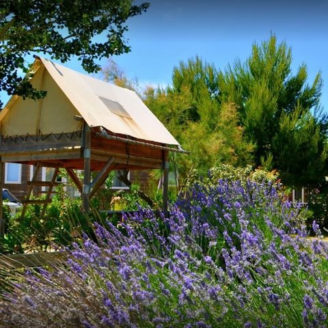 Domaine de la Palme Domaine de la Palme - Camping Aude - Image N°6