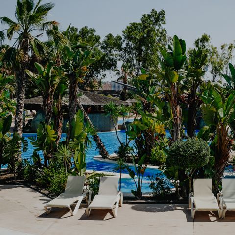 Camping Alannia Guardamar Camping Alannia Guardamar - Camping Alicante - Image N°6